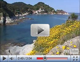 Video Hotel all'isola d'Elba - Hotel Oleandro